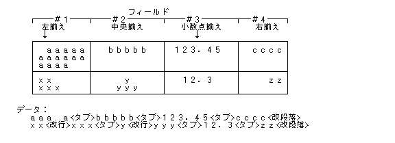 フィールド書式の例