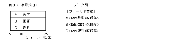 フィールド書式の例-3