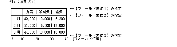 フィールド書式の例-4