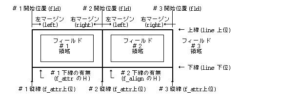 フィールド書式(一般)